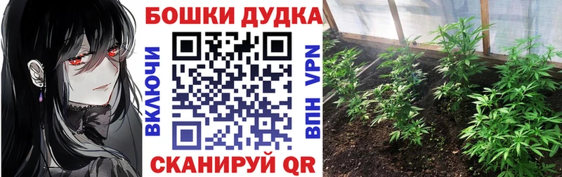 Канабис план  Купить  Демидов 